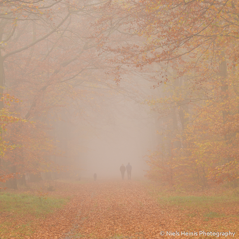 Walkers in the mist