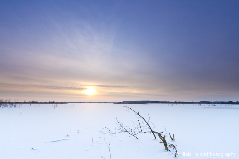 Winter sunrise - Fochteloerveen