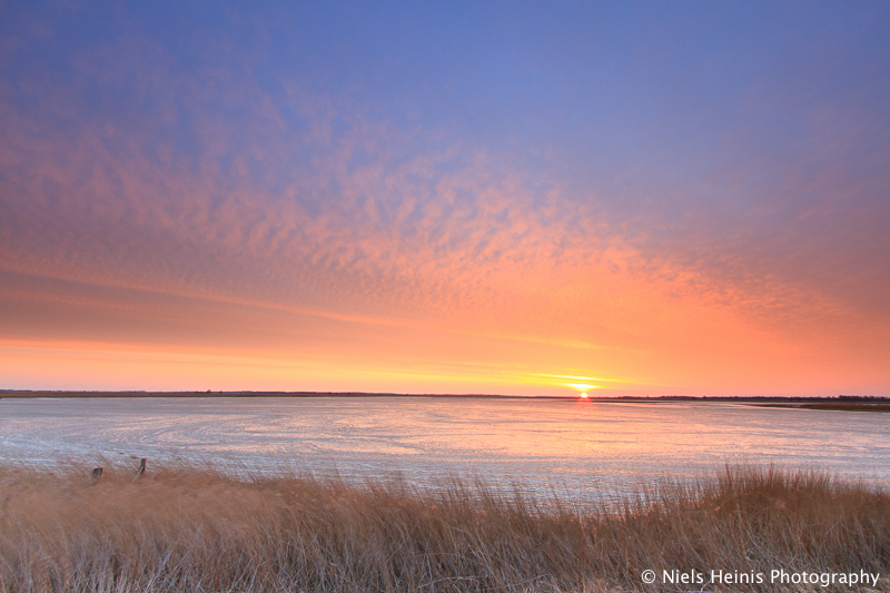 Siberian conditions at sunrise - National Park Lauwersmeer, Frisia, NL