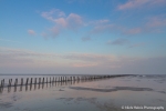 Poles lead the way - Wadden Sea